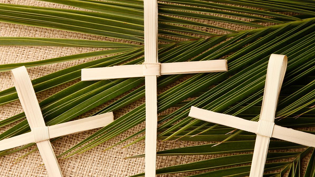 What Is the Message of Palm Sunday
