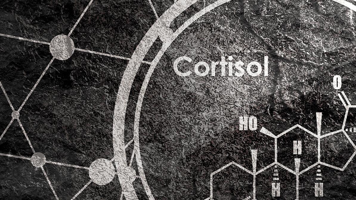 The Problem Is Cortisol