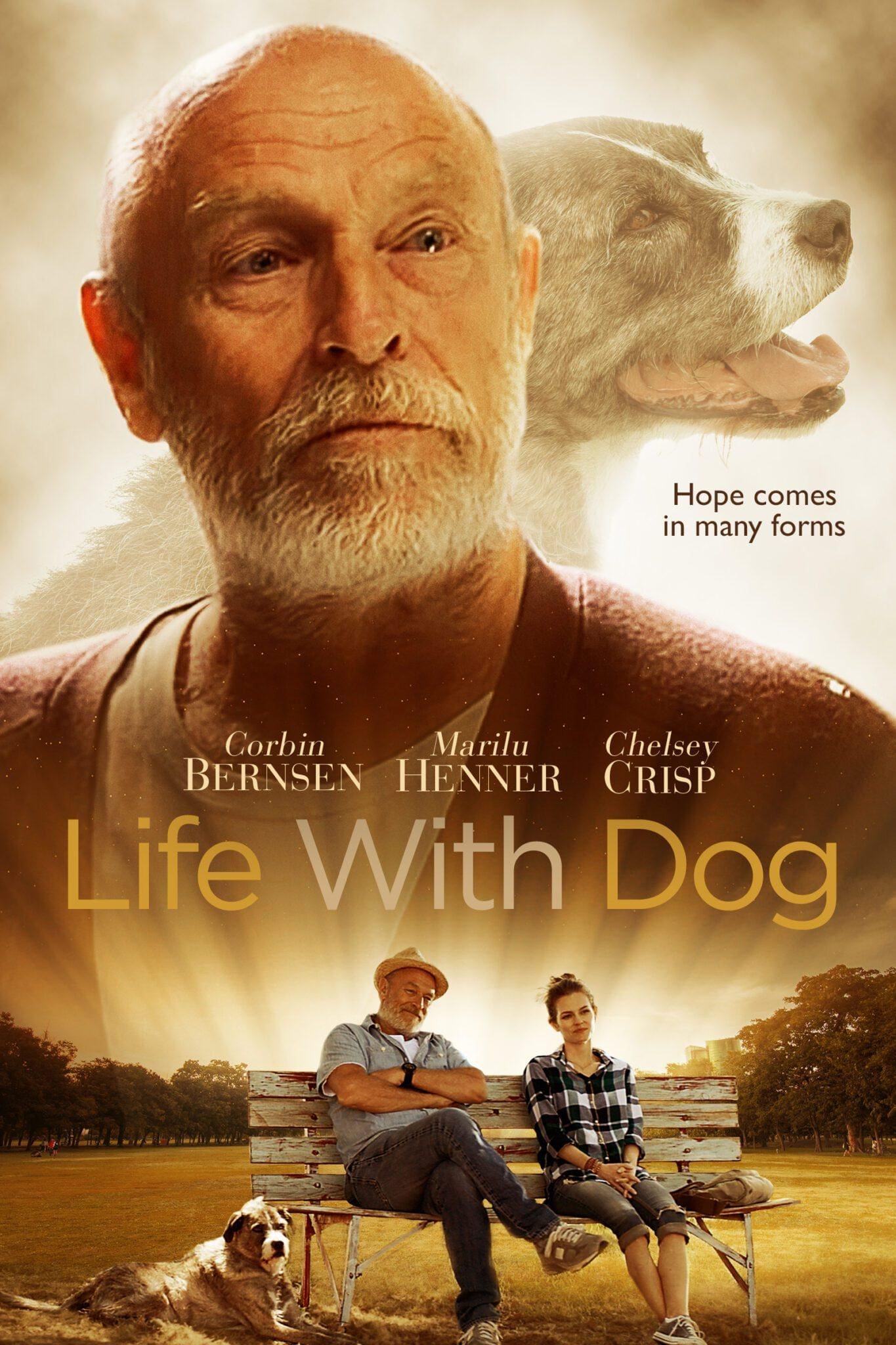 movie-review-life-with-dog-inspiration-ministries